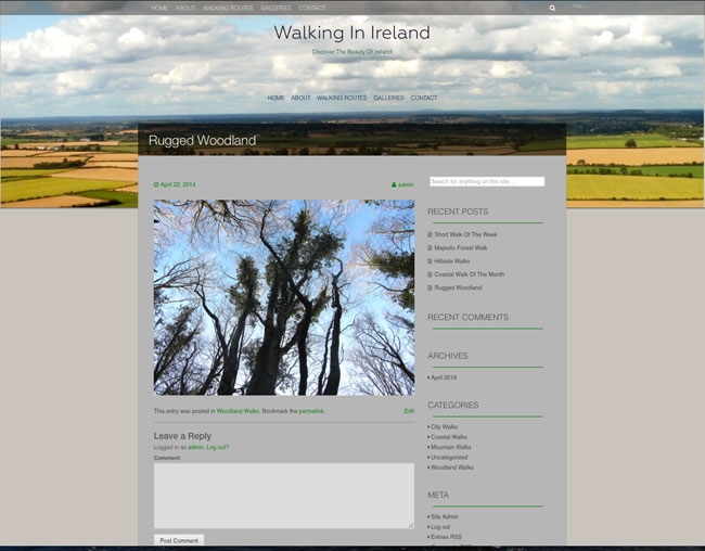 Walks In Ireland - Website Design